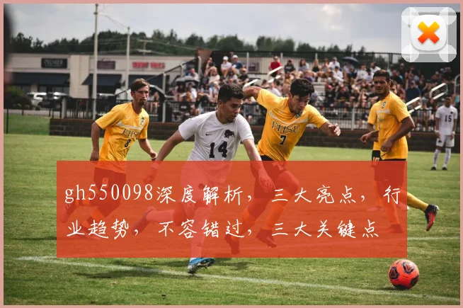gh550098深度解析，三大亮点，行业趋势，不容错过，三大关键点