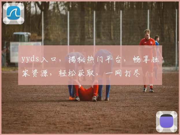 yyds入口，揭秘热门平台，畅享独家资源，轻松获取，一网打尽