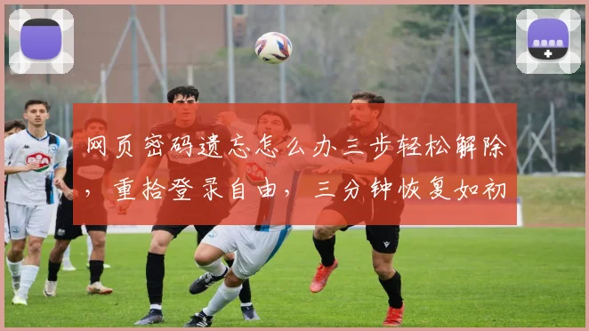 网页密码遗忘怎么办三步轻松解除，重拾登录自由，三分钟恢复如初