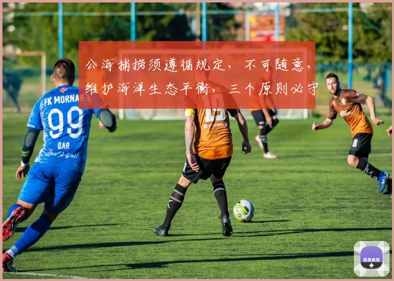 公海捕捞须遵循规定，不可随意，维护海洋生态平衡，三个原则必守。
